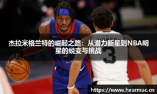 意昂体育官网